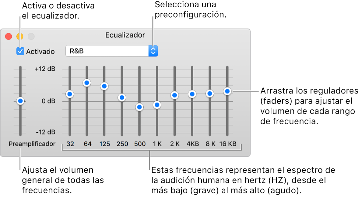 La ventana Ecualizador: la casilla para activar el ecualizador de iTunes está en la esquina superior izquierda. A un lado está el menú desplegable con las preconfiguraciones de ecualización. En el extremo derecho, ajusta el volumen general de las frecuencias con el preamplificador. Debajo de las preconfiguraciones, puedes ajustar el nivel del sonido de los distintos rangos de frecuencia que representan el espectro de la escucha humana desde lo más bajo hasta lo más alto.