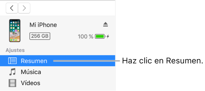 La ventana del dispositivo con la opción Resumen seleccionada en la barra lateral de la izquierda.