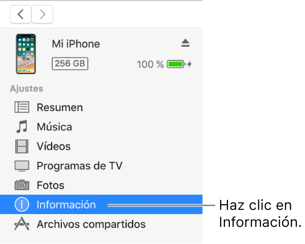 La ventana del dispositivo con la opción Información seleccionada en la barra lateral de la izquierda.