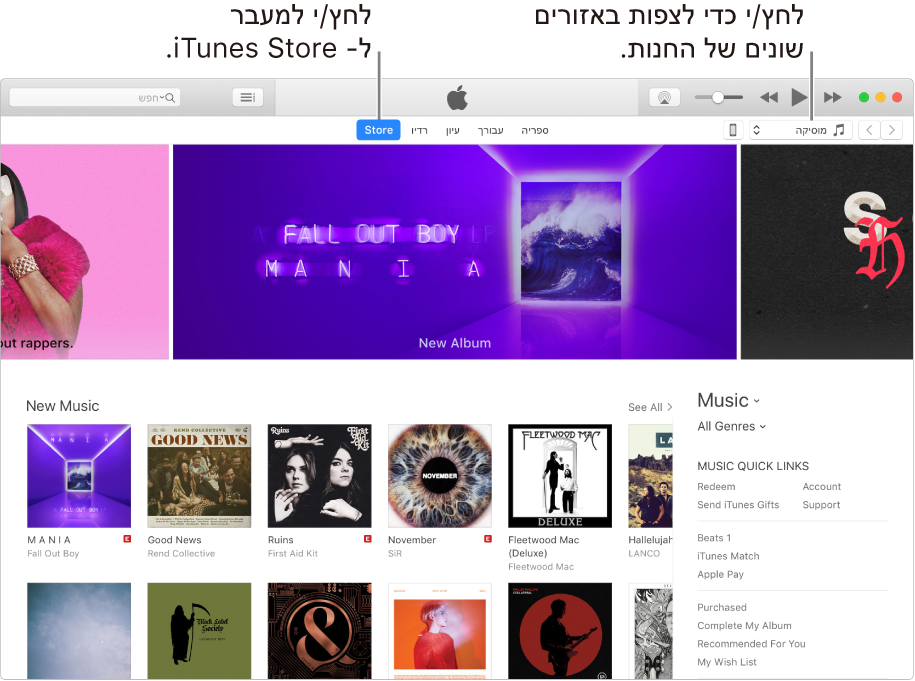 החלון הראשי של iTunes Store: בסרגל הניווט, האפשרות Store מופיעה במודגש. בפינה השמאלית העליונה, בחר/י להציג תוכן אחר ב‑Store (כגון Music או TV).