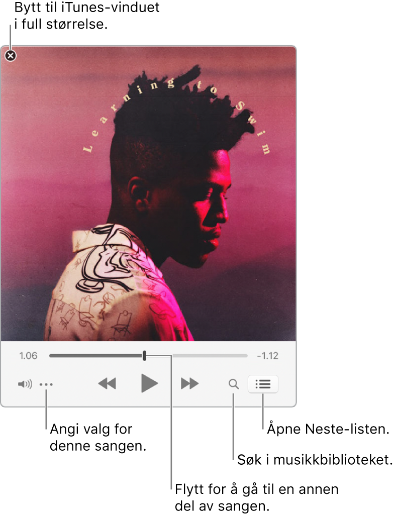 Utvidet minispiller viser kontroller for sangen som spilles av. Øverst til venstre er lukkeknappen, som brukes til å bytte til hele iTunes-vinduet. Nederst i vinduet er en skyveknapp, slik at du kan flytte for å gå til en annen del av sangen. Under skyveknappen på venstre side er handlingsmenyknappen der du kan velge visningsvalg og andre valg for sangen som spilles av. Helt til høyre under skyveknappen er to knapper – forstørrelsesglasset for å søke i musikkbiblioteket, og Neste-listen for å se hva som er det neste som skal spilles av.