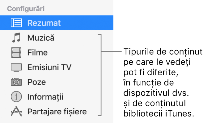 Secțiunea Rezumat este selectată în bara laterală din stânga. Tipurile de conținut care apar pot varia, în funcție de dispozitivul dvs. și de conținutul bibliotecii iTunes.