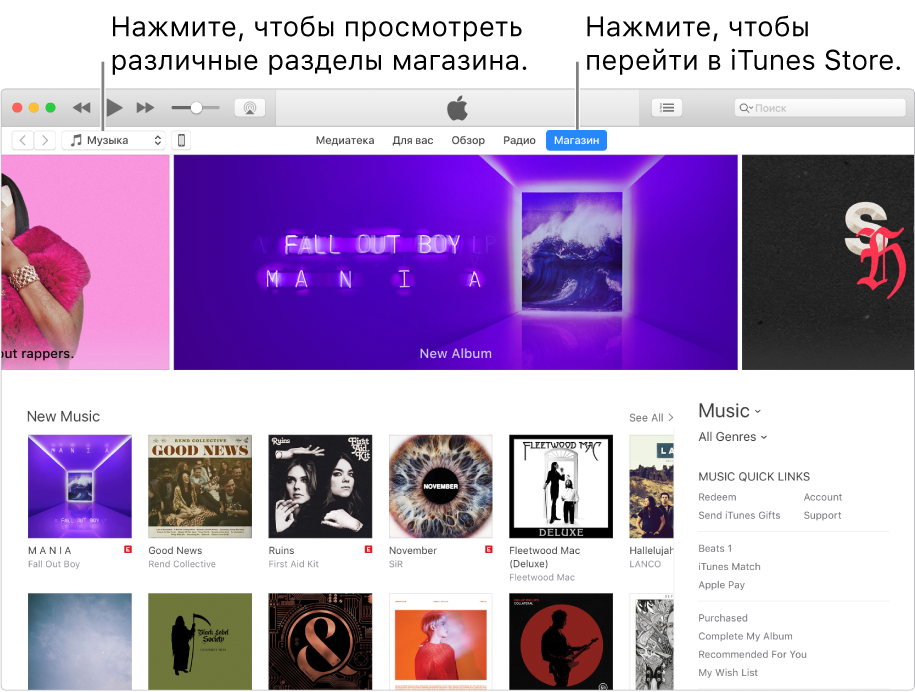 Главное окно iTunes Store. В панели навигации выделена надпись «Магазин». В левом верхнем углу можно выбрать разные типы просматриваемого в Магазине контента (например музыку или ТВ).