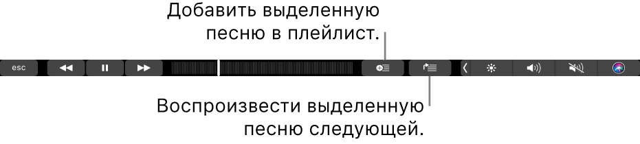 Элементы управления музыкой на Touch Bar с кнопками для добавления выбранной песни в плейлист и в список «Далее».