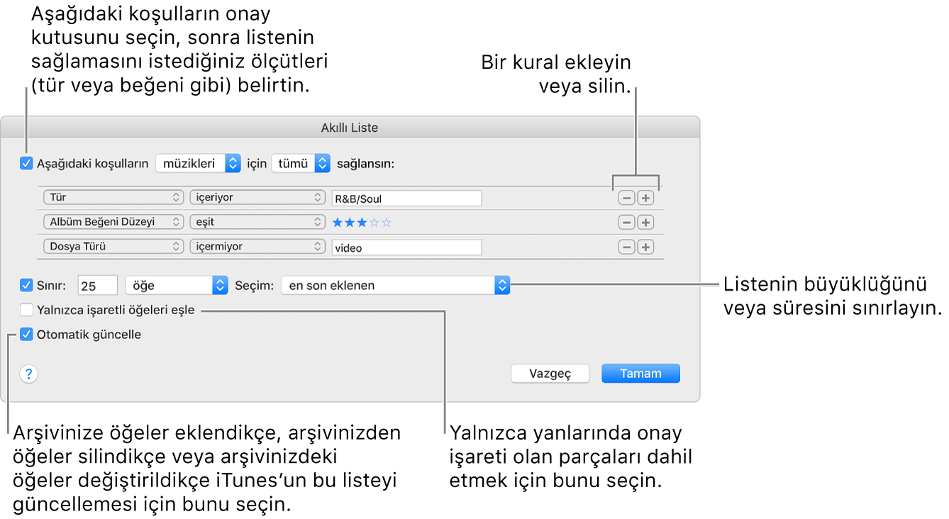 Akıllı Liste penceresi: Sol üst köşede Match’i seçin ve ardından liste kriterlerini (tür veya beğeni düzeyi gibi) belirleyin. Sağ üst köşedeki Ekle veya Sil düğmelerini tıklayarak kural eklemeye veya silmeye devam edin. Pencerenin alt kısmında listenin boyutunu ve süresini sınırlandırma, yalnızca denetlenen parçaları ekleme veya arşivinizdeki öğeler değiştikçe iTunes’un listeyi güncellemesini sağlama gibi birçok seçenek arasından dilediğinizi belirleyin.