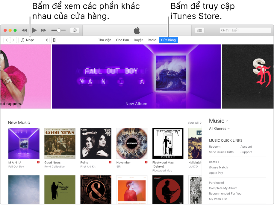 Cửa sổ chính của iTunes Store: Trong thanh điều hướng, Cửa hàng được tô sáng. Ở góc trên cùng bên trái, chọn để xem nội dung khác trong Store (chẳng hạn như Nhạc hoặc TV).