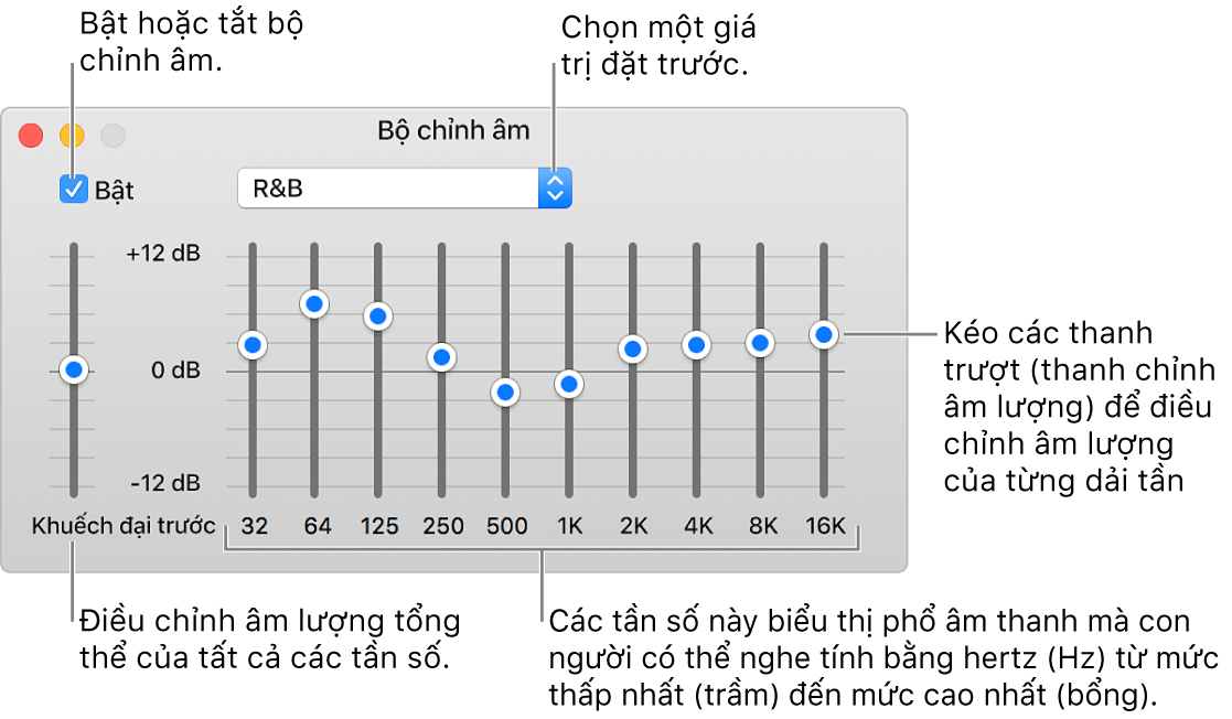 Cửa sổ Bộ chỉnh âm: Hộp kiểm để bật bộ chỉnh âm iTunes ở góc trên bên trái. Bên cạnh là menu bật lên có các giá trị đặt trước của bộ chỉnh âm. Ở phía ngoài cùng bên trái, điều chỉnh âm lượng chung của các tần số bằng tính năng khuếch đại trước. Bên dưới các giá trị đặt trước của bộ chỉnh âm, điều chỉnh mức âm thanh của các dải tần số khác nhau thể hiện dải âm thanh mà con người có thể nghe được từ thấp nhất đến cao nhất.