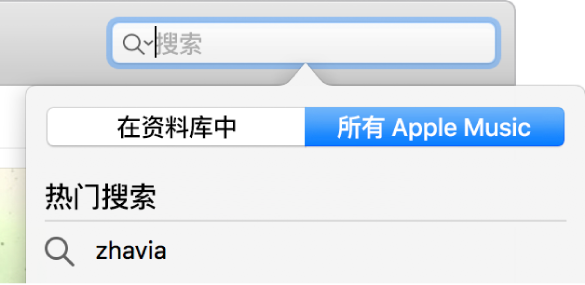 Apple Music 的搜索栏。