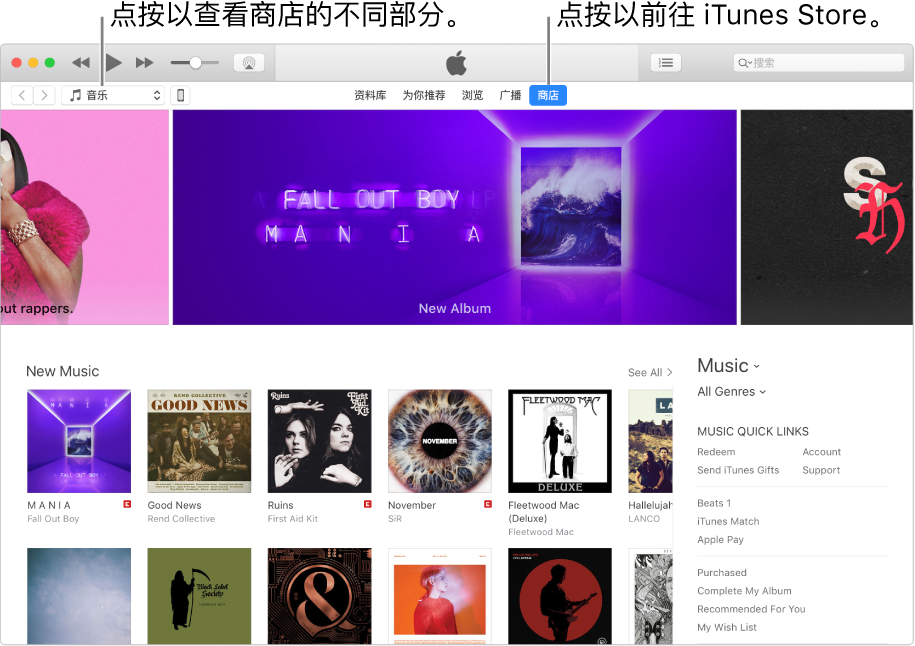 iTunes Store 主窗口：在导航栏中，“商店”被高亮显示。在左上角中，选取以查看“商店”中的不同内容（如音乐或电视）。
