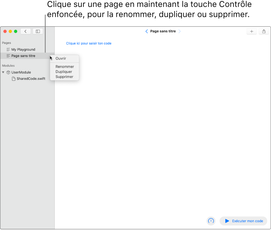 Une page de playground avec la barre latérale ouverte, montrant la liste des pages, des modules et des fichiers. Le menu contextuel d’un des noms de page dans la barre latérale est ouvert, avec les commandes permettant d’ouvrir, de renommer, de dupliquer ou de supprimer la page.