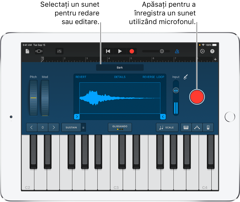 Instrumentul tactil Sampler