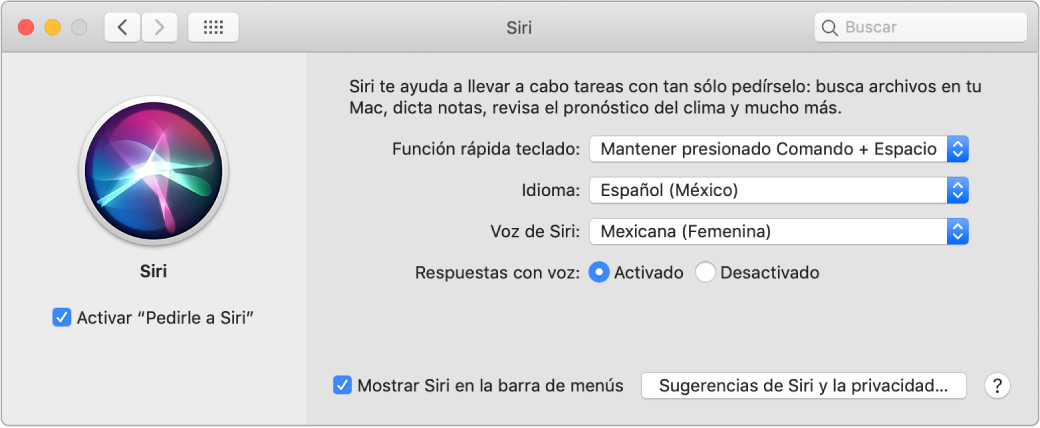La ventana del panel de preferencias Siri con la opción "Activar 'Pedirle a Siri'" seleccionada en la izquierda, y varias opciones para personalizar a Siri en la derecha.