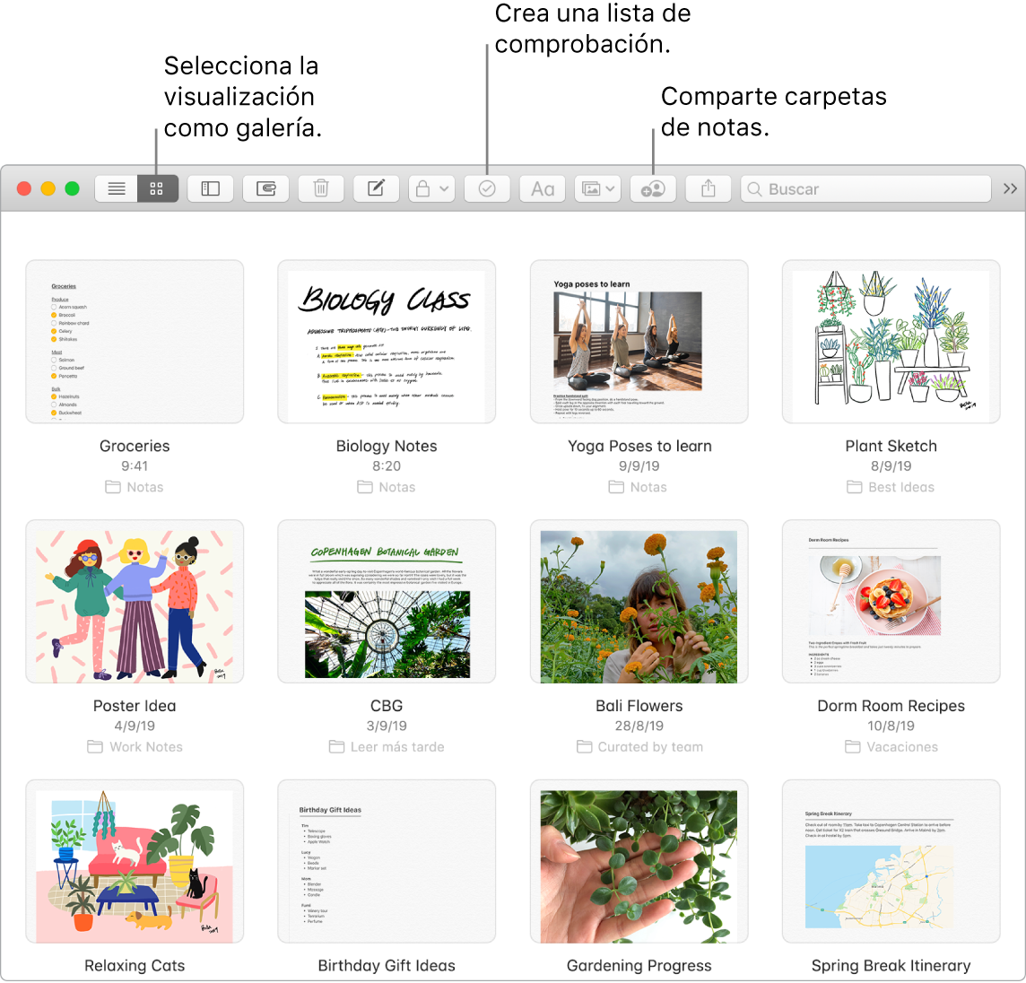 Una ventana de Notas que tiene el botón para seleccionar una vista de galería, el botón de lista de comprobación y el botón para compartir carpetas.