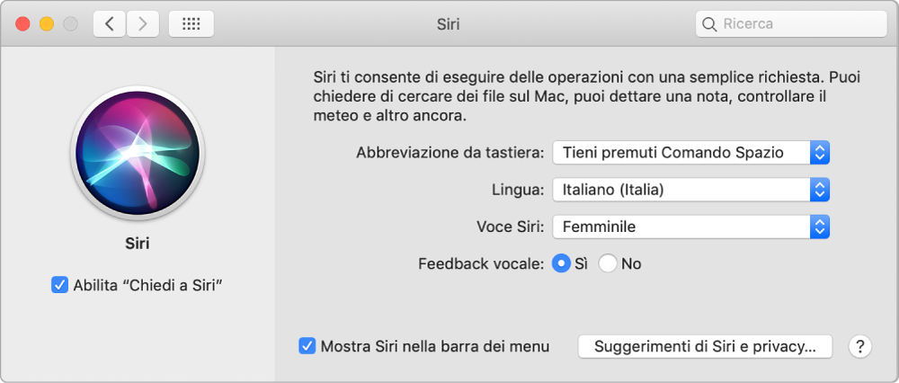 La finestra delle preferenze Siri con “Abilita Chiedi a Siri” selezionato sulla sinistra e varie opzione per la personalizzazione di Siri sulla destra.