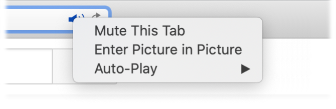 Mute This Tab, Enter Picture in Picture және Auto-Play элементтері бар Auto белгішесінің ішкі мәзірі.