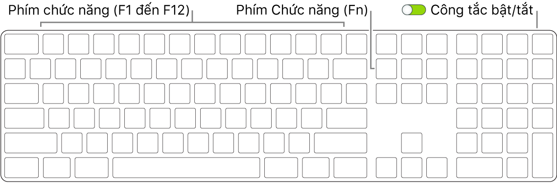 Magic Keyboard đang hiển thị phím Function (Fn) ở góc dưới cùng bên trái và công tắc bật/tắt ở góc phía trên bên phải của bàn phím.