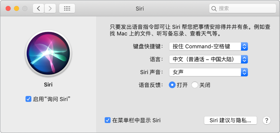 Siri 偏好设置窗口，左边“启用‘询问 Siri’”已选，右边显示多个自定 Siri 的选项。