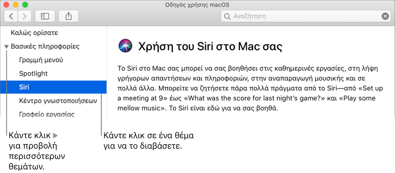 Η προβολή Βοήθειας στην οποία φαίνεται ο τρόπος προβολής θεμάτων στην πλαϊνή στήλη και ο τρόπος εμφάνισης του περιεχομένου ενός θέματος.