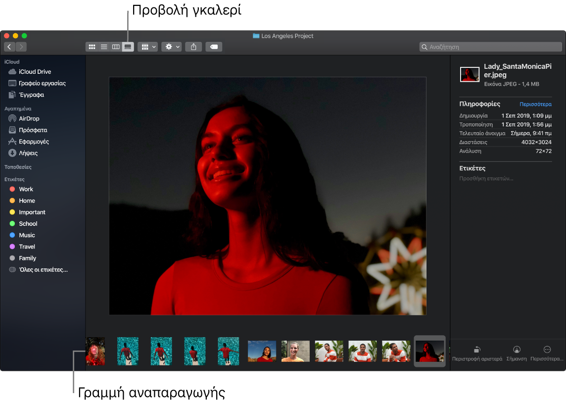 Ένα ανοιχτό παράθυρο του Finder στην Προβολή γκαλερί, το οποίο εμφανίζει μια μεγάλη φωτογραφία με μια σειρά μικρότερων φωτογραφιών –το χειριστήριο περιήγησης– κάτω από αυτήν. Χειριστήρια για περιστροφή, επισήμανση και πολλά άλλα βρίσκονται στα δεξιά του χειριστηρίου περιήγησης.