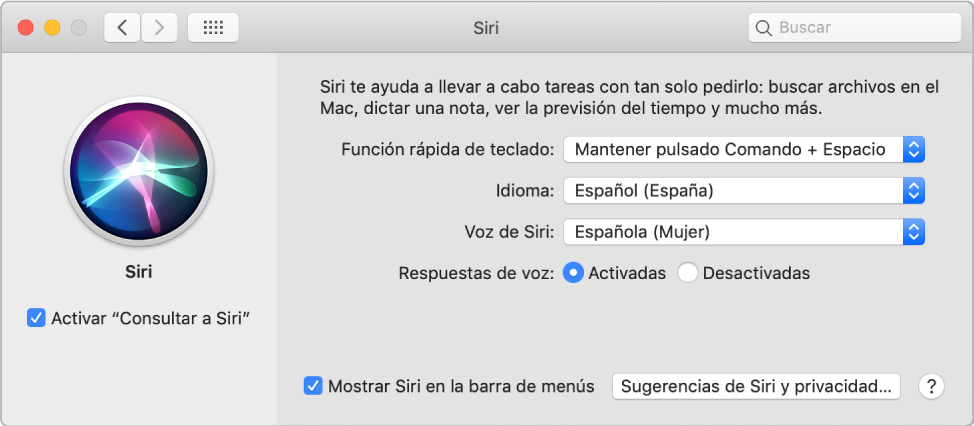 La ventana de preferencias de Siri, donde la casilla “Activar Siri” aparece seleccionada a la izquierda y se muestran varias opciones para personalizar Siri a la derecha.