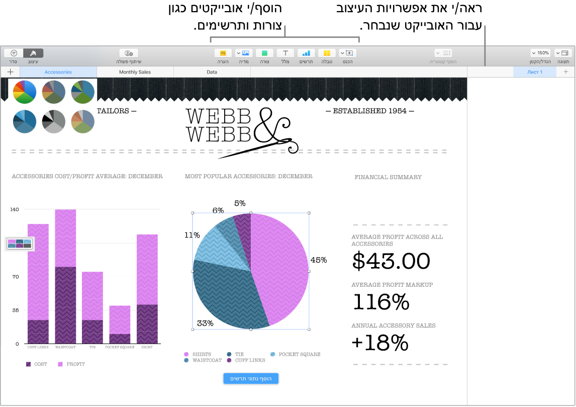 חלון של Numbers עם הסברים לקטגוריות האובייקטים שניתן להוסיף ולאפשרויות עיצוב האובייקטים.