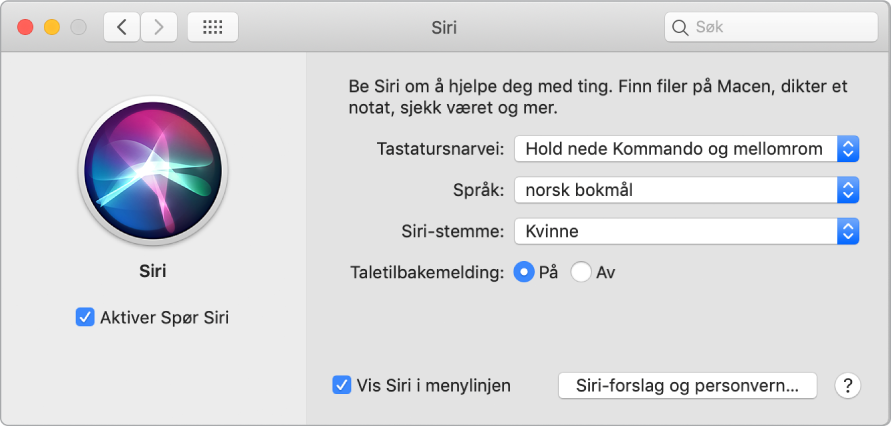 Siri-valg-vinduet med Aktiver Spør Siri markert til venstre og flere valg for tilpassing av Siri til høyre.