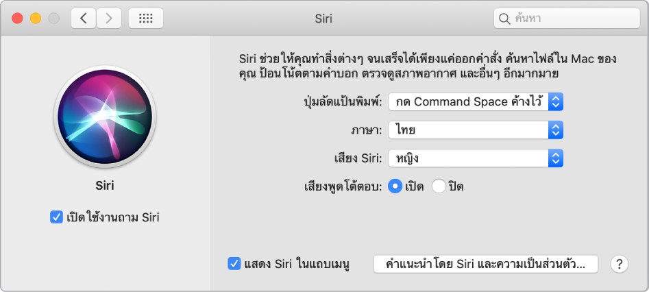 หน้าต่างการตั้งค่า Siri ที่มีกล่องกาเครื่องหมายเปิดใช้งานถาม Siri ถูกเลือกอยู่ด้านซ้าย และตัวเลือกต่างๆ สำหรับปรับแต่ง Siri ด้วยตัวเองอยู่ด้านขวา