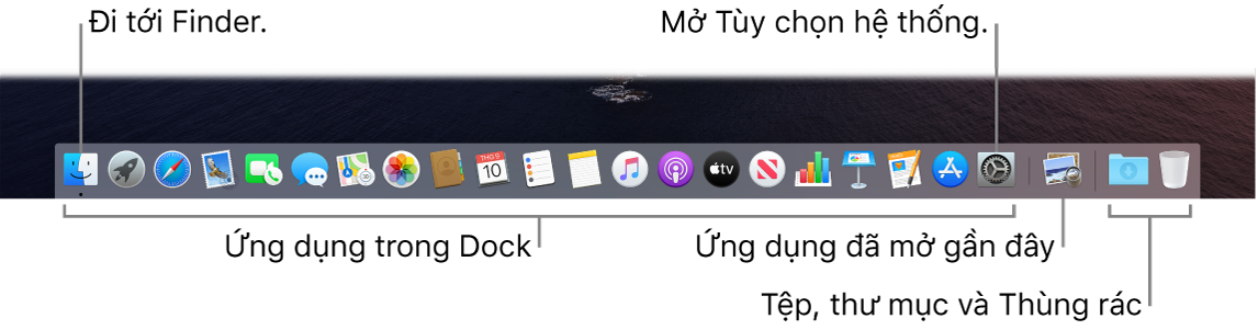 Dock, đang hiển thị Finder, Tùy chọn hệ thống và đường thẳng trên Dock chia tách ứng dụng khỏi các tệp và thư mục.