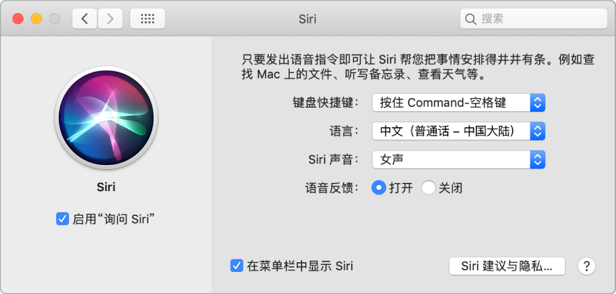 Siri 偏好设置窗口,左边“启用‘询问 Siri’”已选,右边显示多个自定 Siri 的选项。