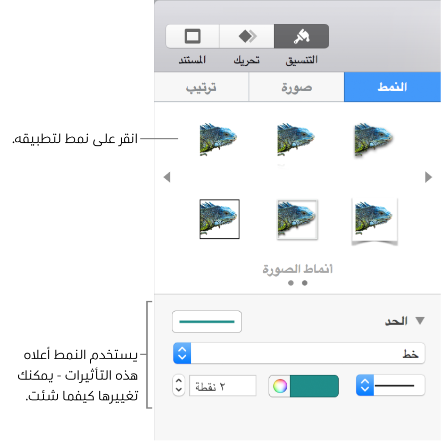 علامة التبويب نمط في الشريط الجانبي "تنسيق" ويظهر بها خيارات أنماط الكائنات.