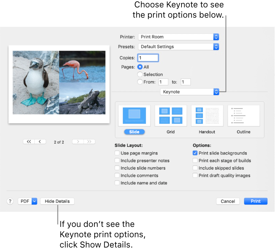 The Print dialog with Keynote selected in the pop-up menu below Pages. Below it are print layouts for Slide, Grid, Handout and Outline with Slide, selected. Below the layouts are tick boxes to show margins, include presenter notes, print draft quality images and other options.