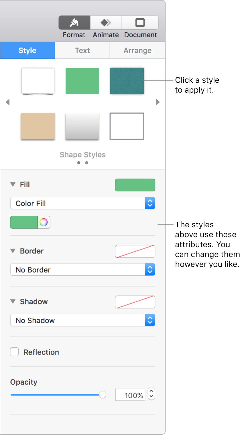 Shape styles and options in the Format section of the sidebar.