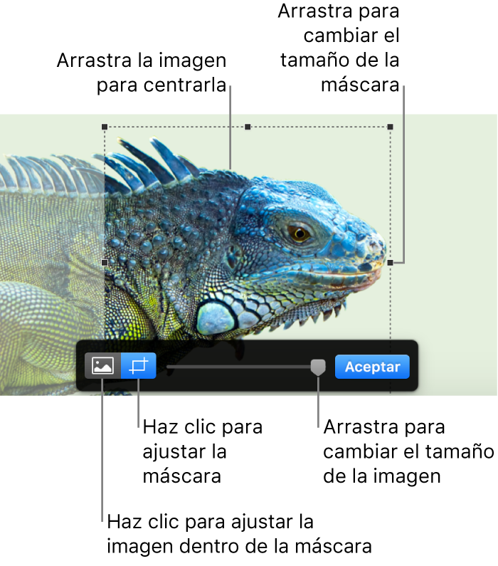 Los controles de máscara sobre una foto.