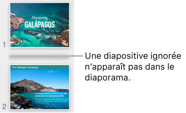 Navigateur de diapositives avec une diapositive ignorée s’affichant sous forme de ligne horizontale.
