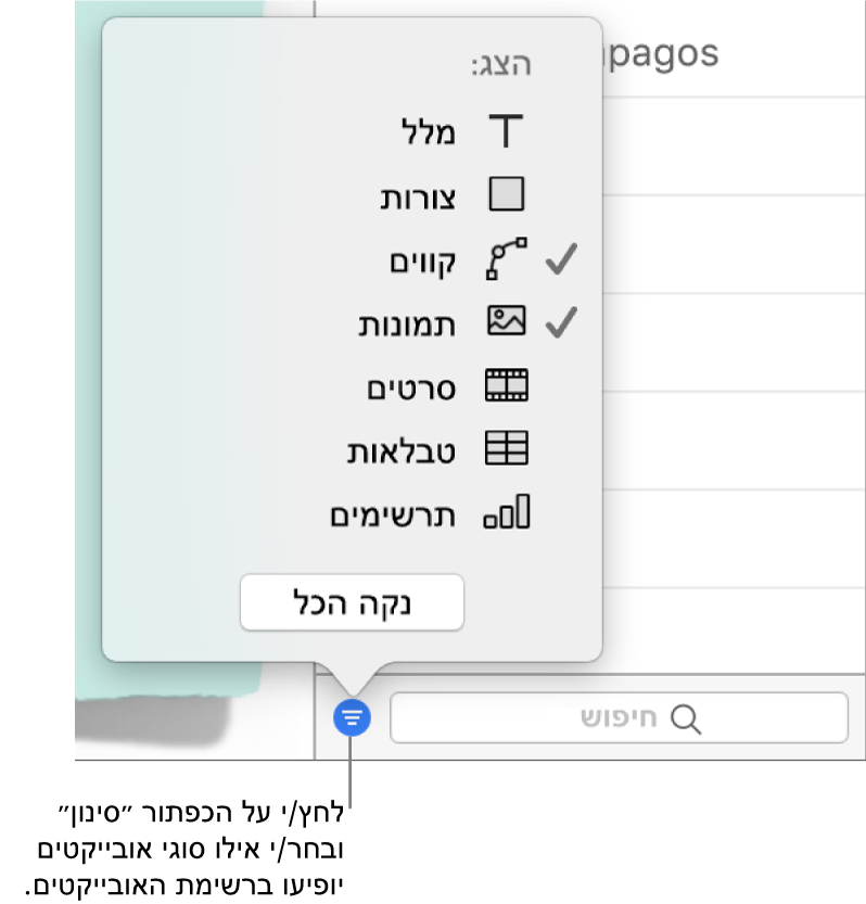 התפריט הקופצני ״סינון״ פתוח, עם רשימה של סוגי האובייקטים שהרשימה יכולה לכלול (מלל, צורות, קווים, תמונות, סרטים, טבלאות ותרשימים).