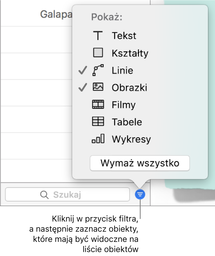 Rozwinięte menu podręczne filtra, zawierające listę typów obiektów, jakie mogą znajdować się na liście (tekst, kształty, linie, obrazki, filmy, tabele i wykresy).