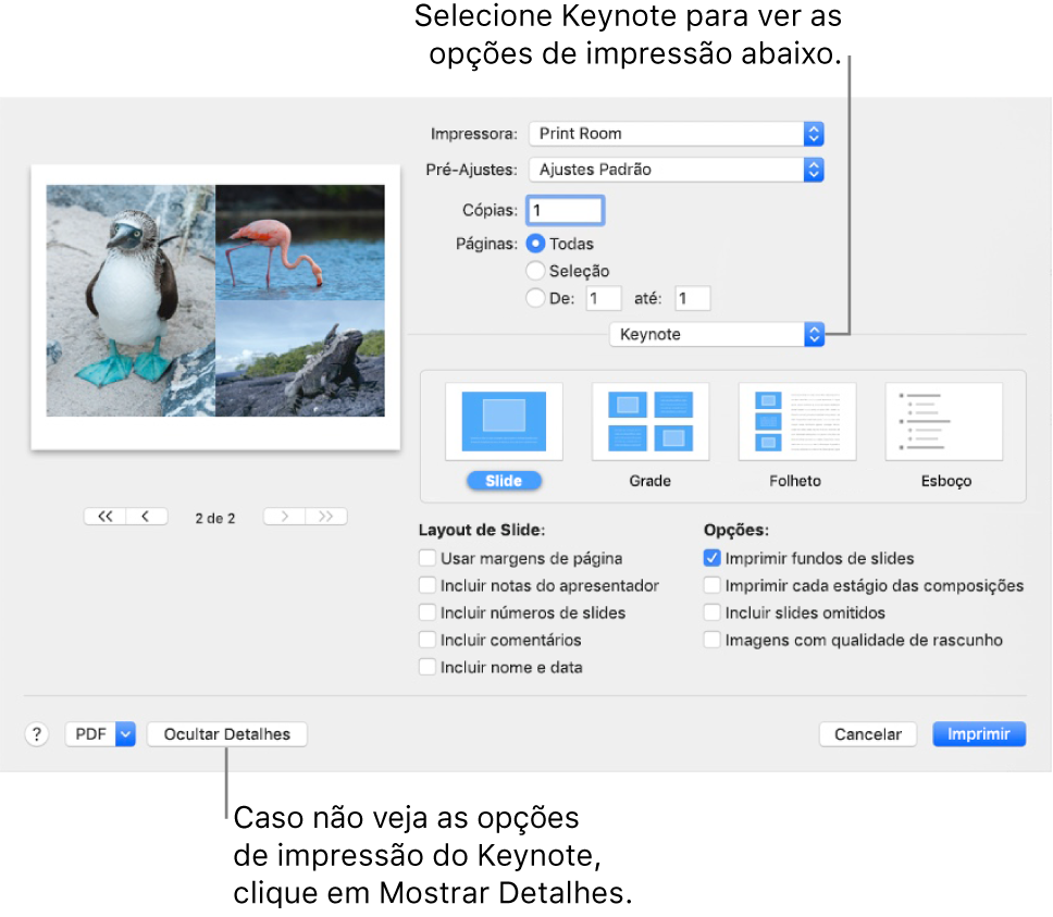 Caixa de diálogo Imprimir, com Keynote selecionado no menu local abaixo de Páginas. Abaixo estão os layouts de impressão Slide, Grade, Folheto e Esboço, com Slide selecionado. Abaixo dos layouts estão opções para mostrar margens, incluir as notas do apresentador, imprimir imagens com qualidade de rascunho e outras opções.