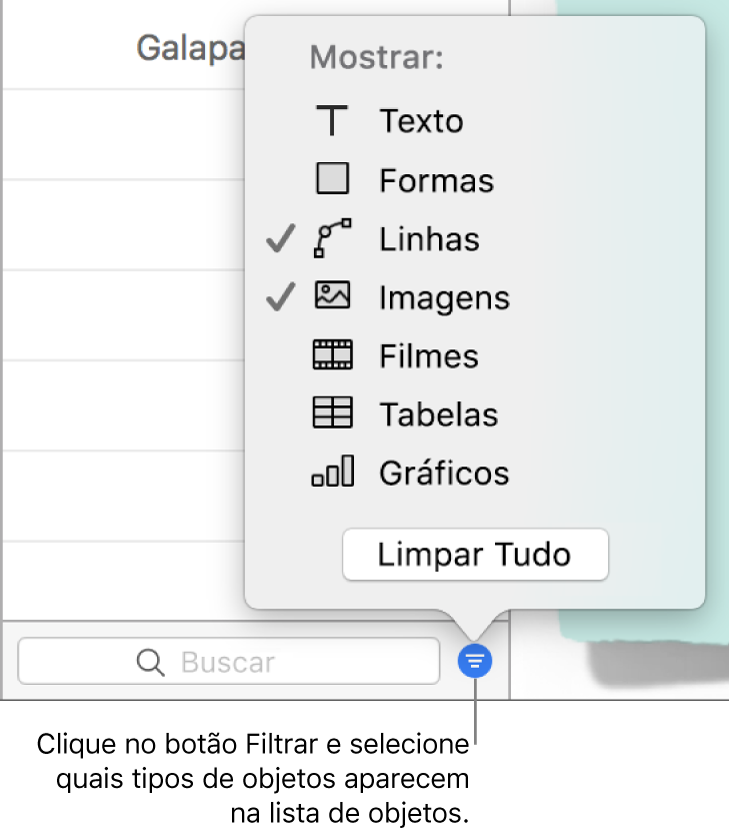 O menu local Filtrar aberto, com uma lista dos tipos de objetos que a lista pode incluir (texto, formas, linhas, imagens, filmes, tabelas e gráficos).