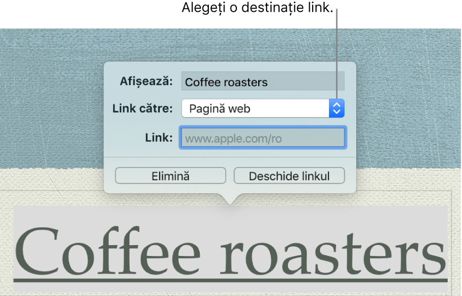 Editorul de linkuri cu un câmp Afișează, Link către (configurat la Pagină web) și câmpul Link. În partea de jos a pop-overului se află butoanele Elimină și Deschide linkul.