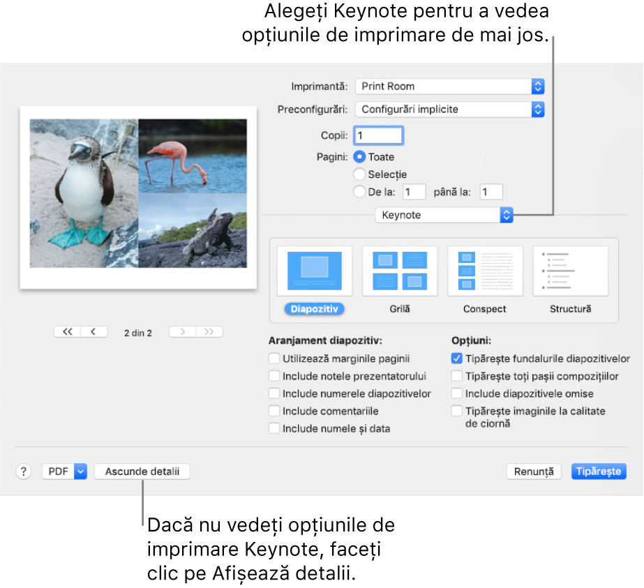 Dialogul Tipărește cu Keynote selectat în meniul pop-up sub Pagini. Sub acesta se află aranjamentele de tipărire pentru Diapozitiv, Grilă, Conspect și Structură cu Diapozitiv selectat. Sub aranjamente se află casete de selectare pentru afișarea marginilor, includerea notelor prezentatorului, tipărirea imaginilor la calitate de ciornă și alte opțiuni.