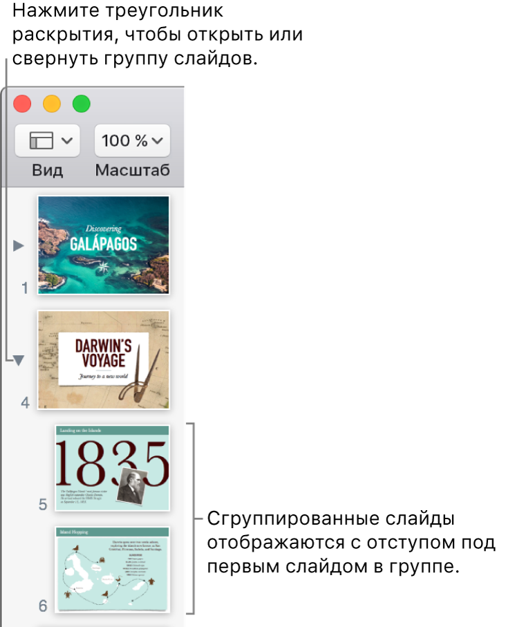 Навигатор слайдов, в котором показаны слайды с отступом.