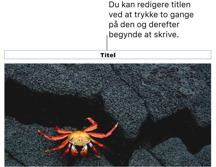 Eksempeltitlen “Titel” vises under et foto, og en blå kontur rundt om feltet med titlen viser, at det er valgt.