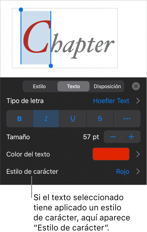 Los controles de formato de texto con “Estilos de carácter” debajo de los controles de color. El estilo de carácter Ninguno aparece con un asterisco.