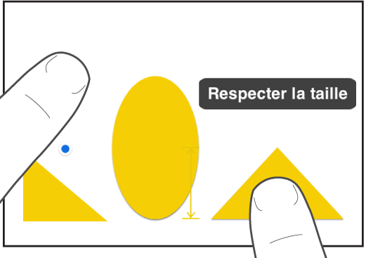 Un doigt juste au-dessus d’une figure et un autre tenant un objet avec « Respecter la taille » à l’écran.