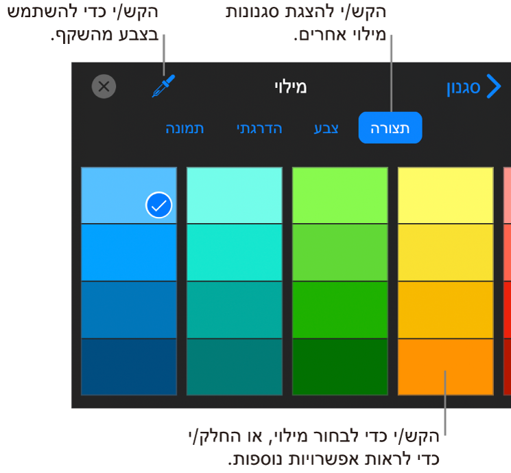 אפשרויות מילוי בכרטיסיה ״סגנון״.