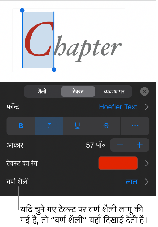 रंग नियंत्रणों के नीचे वर्ण शैली के साथ टेक्स्ट फ़ॉर्मैटिंग नियंत्रण। वर्ण शैली में तारांकन चिह्न के साथ “कुछ नहीं” दिखता है।