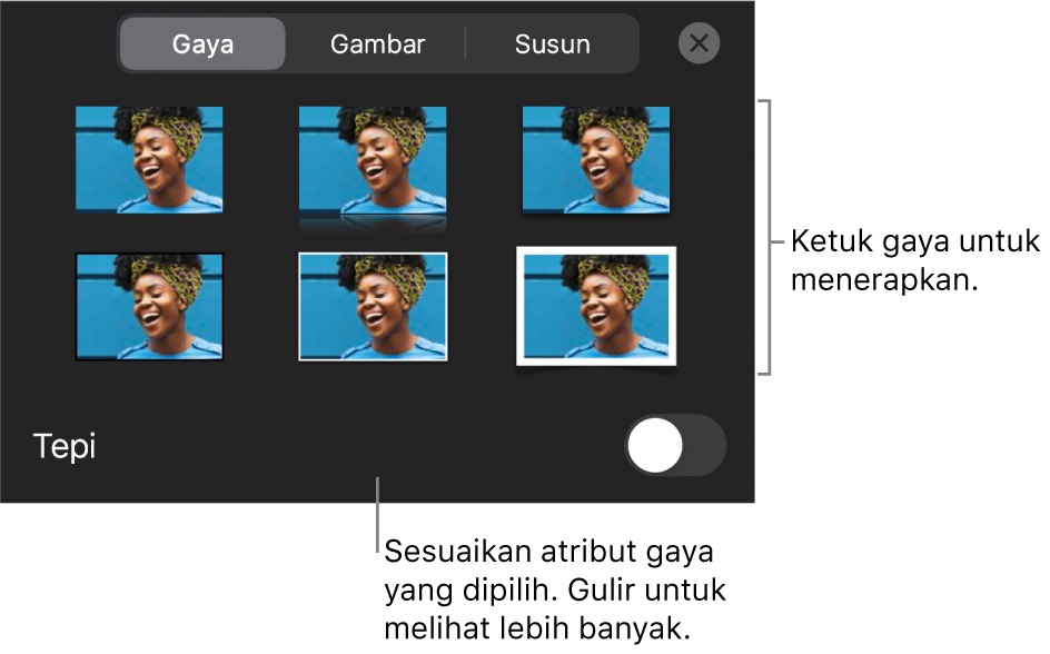 Tab Gaya menu Format dengan gaya objek di bagian atas dan kontrol di bawahnya untuk mengubah tepi.