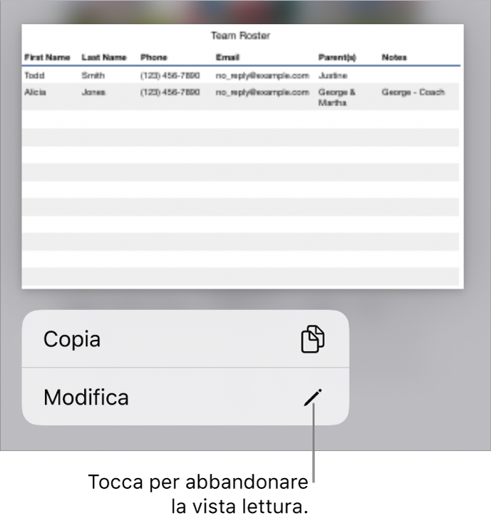 Viene selezionata una tabella e al di sotto di essa si trova un menu contestuale con i pulsanti Copia e Modifica.