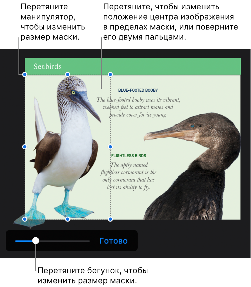 Фото с бегунком маски в нижней части.