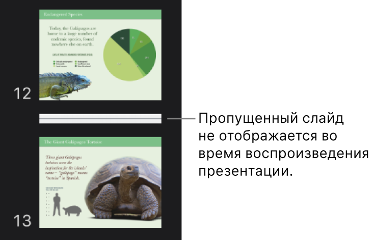 Навигатор слайдов с пропущенным слайдом, вместо которого отображается горизонтальная линия.